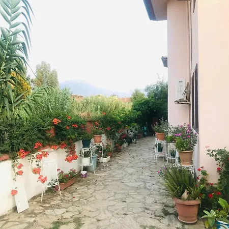 Truva * Fethiye